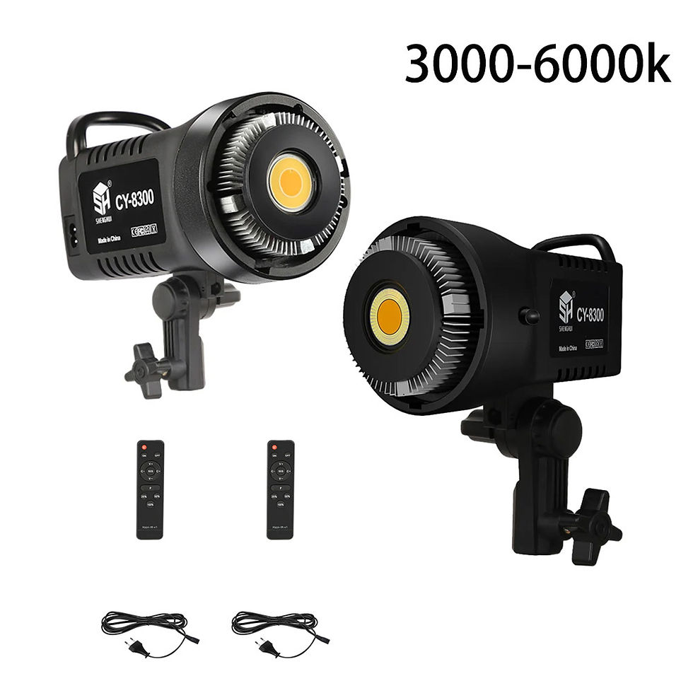 Miniature : Pack de 2 Lampes LED Photographie 100W 
