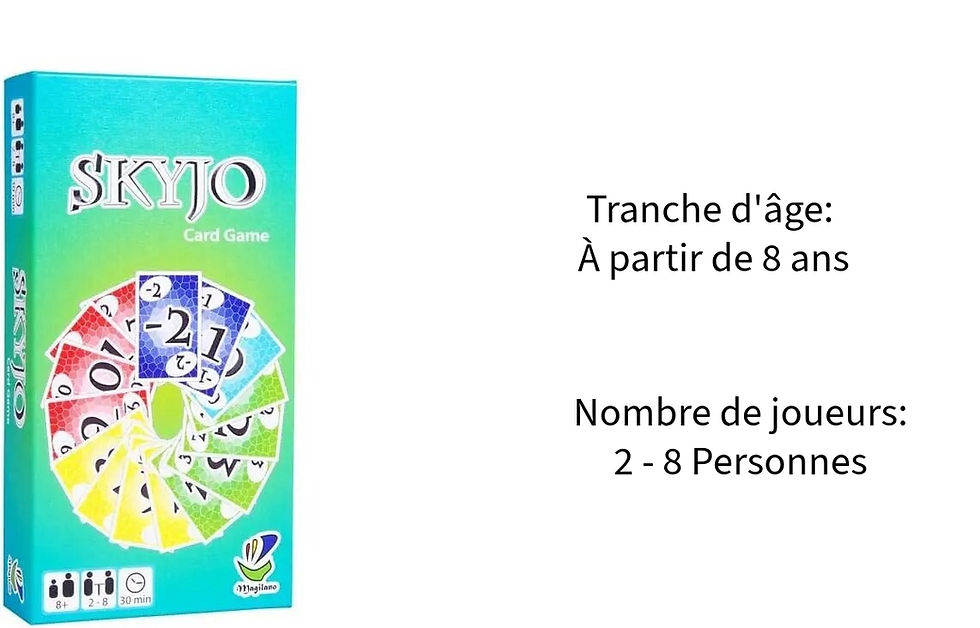 Miniature : Règles du jeu Skyjo