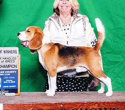 Country Line Catfish Blues