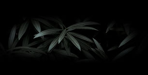 Dramatic Leaves