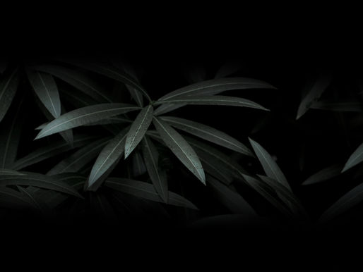 Playing Away from the Enemy’s Hand