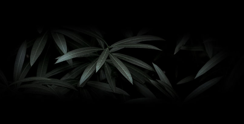 Dramatic Leaves