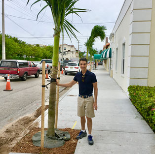 John David Corey with Christmas Palm