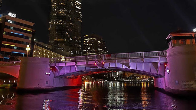 Cruise through Tampa Bay