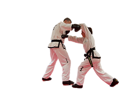 Didcot TKD instructors