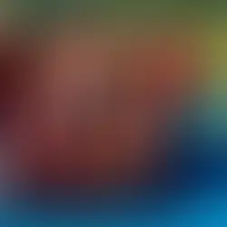 IAPS Regional Netball Tournament