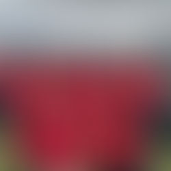 U11 Prince's Mead Hockey Team