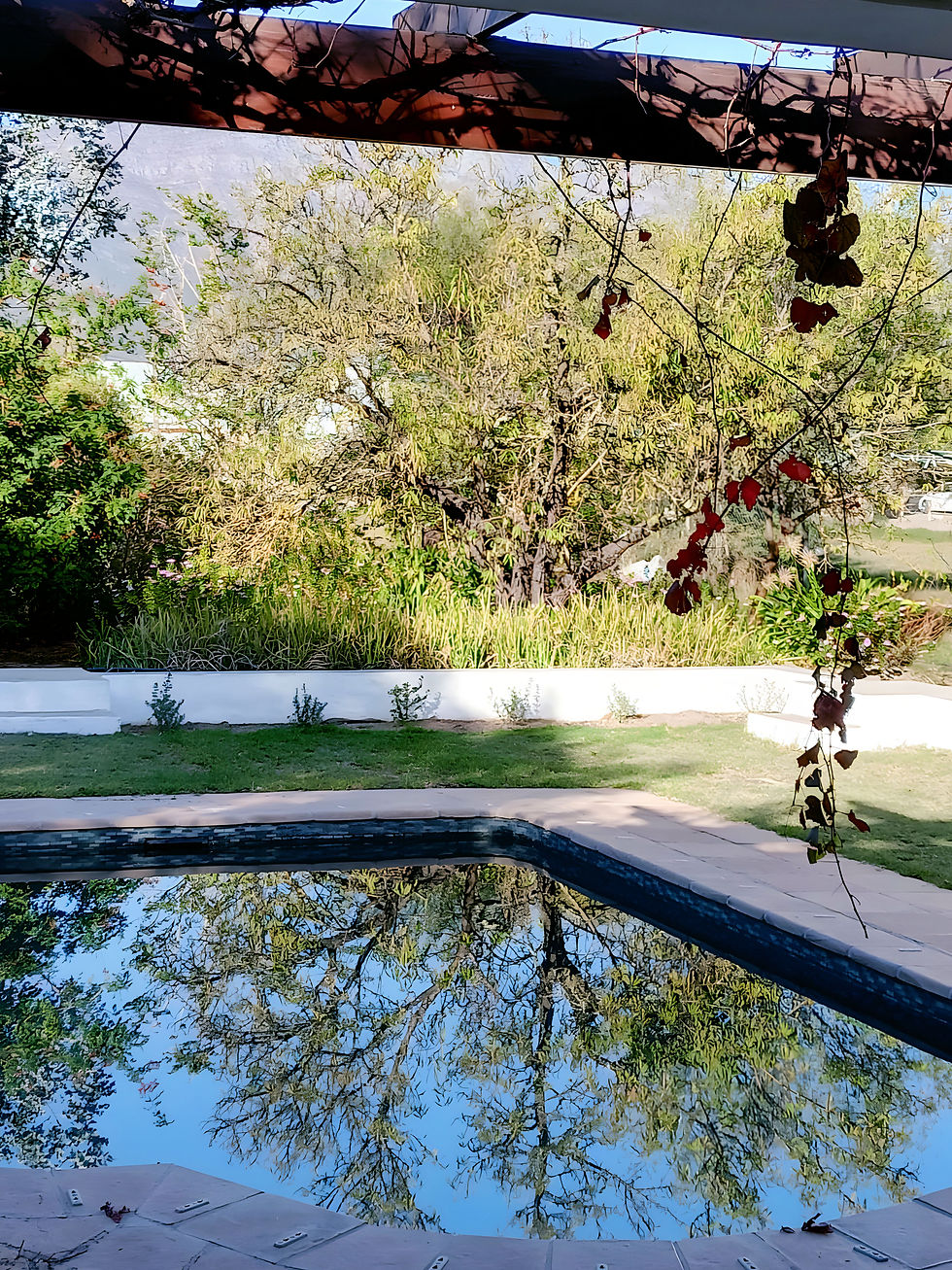 Perfectly still days where the trees reflect off the water