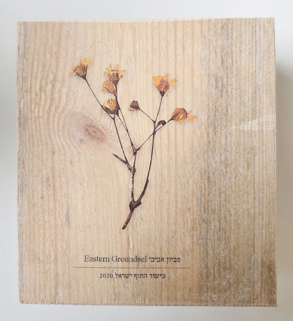 תמונה ממוזערת: הדפס על עץ ממוחזר