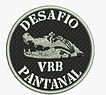 patch_desafio_pantanal.jpeg