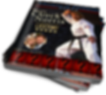 paperbackstack_511x457 (4).png