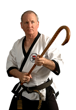 Mark-for-Black-Belt-LR_clipped_rev_1.png