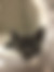 kedi sahiplendirme ilanları gösteren 5 numaralı fotoğraf sembolü
