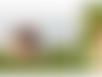 Danielle + Ty // Engagement Session // Edgewater Park, Cleveland, Ohio