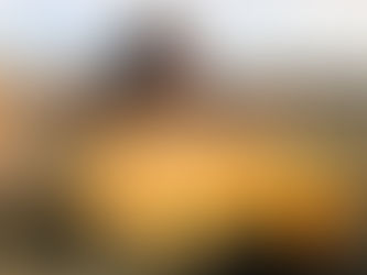 Párkányi Thermal Pontyok