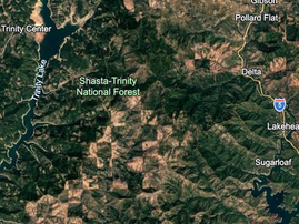 The Forest Service Is Fast-Tracking a Major Logging Project in One of California's Most Critical Watersheds