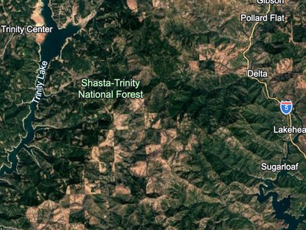 The Forest Service Is Fast-Tracking a Major Logging Project in One of California's Most Critical Watersheds