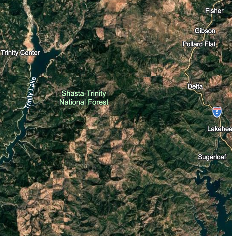 The Forest Service Is Fast-Tracking a Major Logging Project in One of California's Most Critical Watersheds