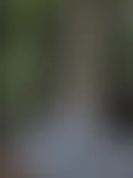 Richardson Grove: The Legal Chapter Concludes