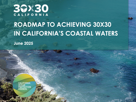 New Oceanic Roadmap for Getting to 30x30