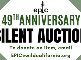 We are seeking items for our Annual Silent Action