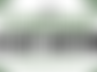 We are seeking items for our Annual Silent Action