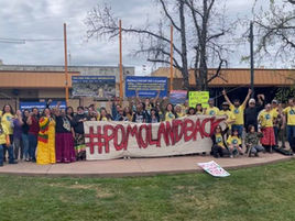 Action Alert: Petition to Protect Pomo Homelands in Jackson Demonstration State Forest