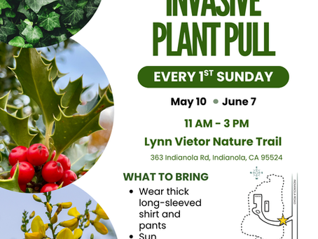 Upcoming Events in May!