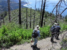 2024 King Range Fire Campout Recap