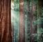 EPIC Litigation Update: January 2025