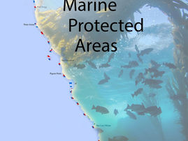ACTION ALERT: Send Comments & Attend 4/21 Meeting to Advocate for Strong Marine Protected Areas