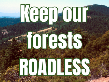ACTION ALERT: Trump Seeks to Open Roadless Forests to Logging