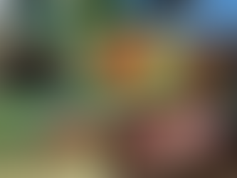 Trump’s New ESA Rules Undermine Species Protection