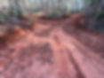 “Temporary” Road Unit 9D Within Occupied NSO Home Range of Buck Ridge