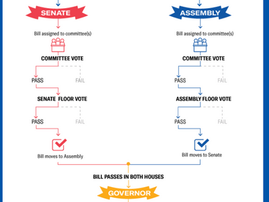 Committee Hearing for AB 2494, EPIC Bill to End Commercial Logging Mandate in State Forests