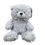 Thumbnail: Baby Teddy Bear