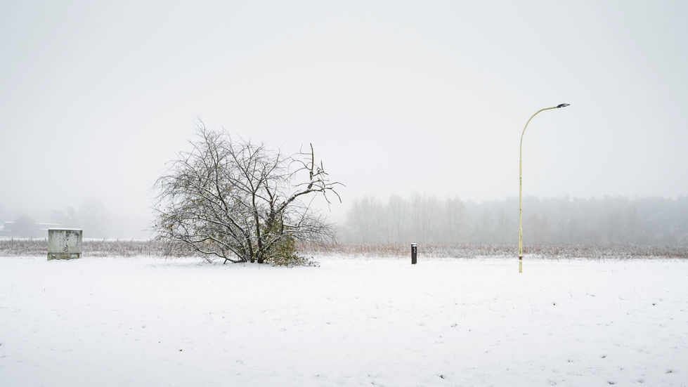 Strom - Baum - Wasser - Licht