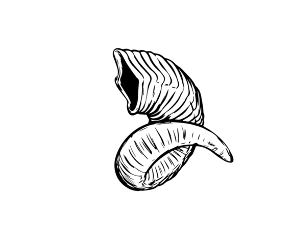 Horns_edited_edited.png