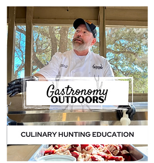 Gastrononmy(1).png