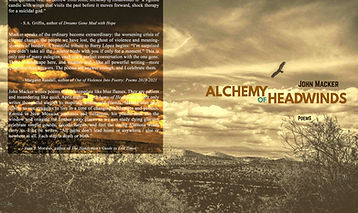 FINAL ALCHEMY COVER-1.jpg