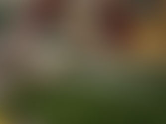 かんたき ひだまり日和 6月号