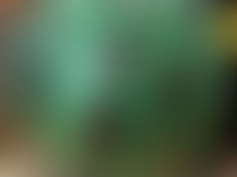 かんたき ひだまり日和 9月号 その2