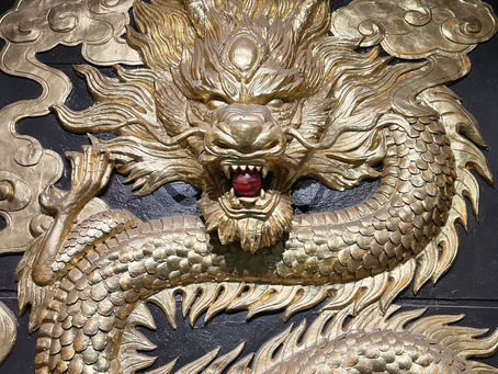 [Giới thiệu khách hàng] Trải nghiệm bò Wagyu nướng bteak thượng hạng tại "Umai Gyu"!