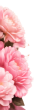 image de fond de page fleurs roses