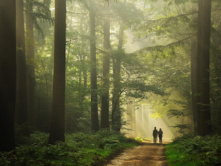 Реальные Истории ( Парманов Усен)