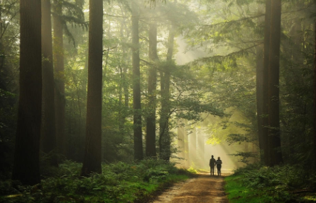 Реальные Истории ( Парманов Усен)