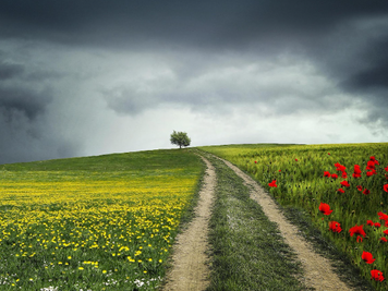   Что значит ходить перед Всевышним верно и быть непорочным?