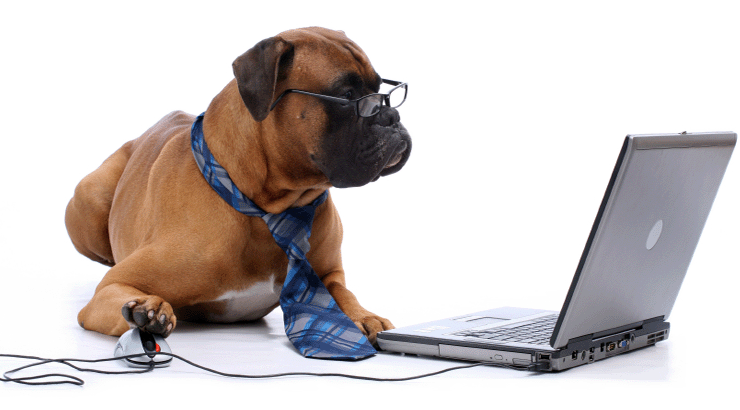 Doggy email