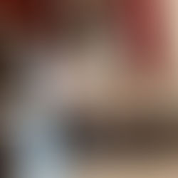 2023.11.11 入荷情報