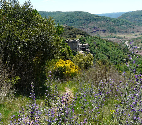 P1160210.JPG